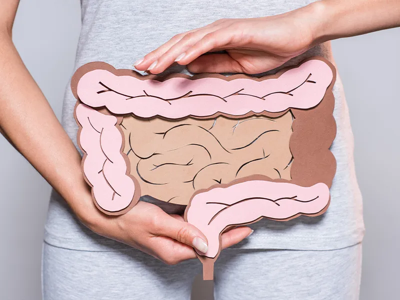 Ilustração do intestino em formato de artesanato de papel sobre o abdômen